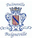 Site : " Ville de Bulgnéville  Vosges (88140)" 